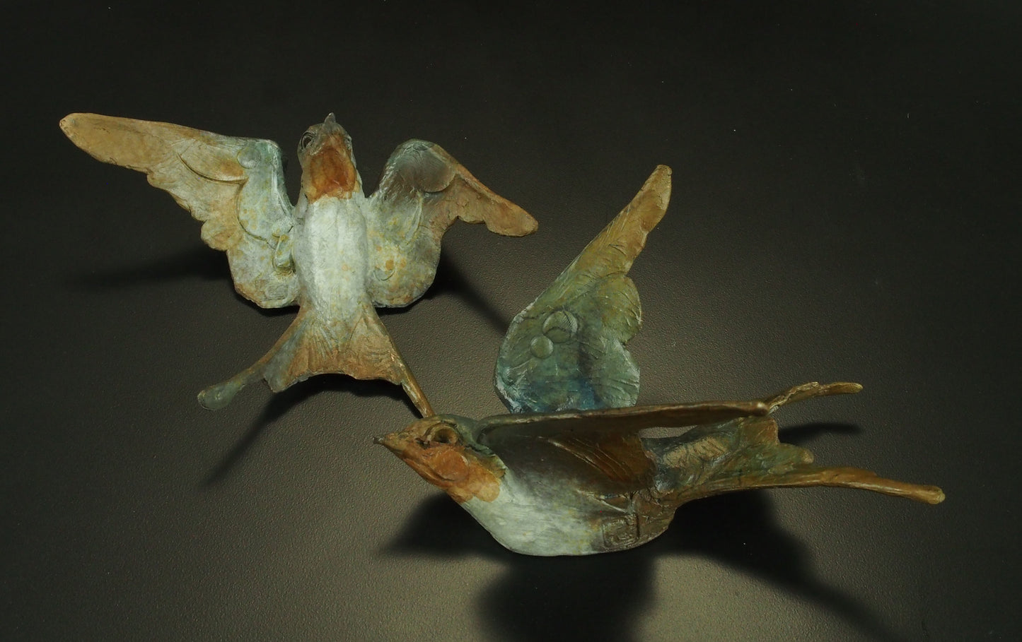 Swallow A