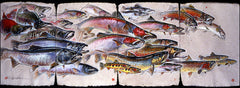 Salmon, Steelhead and Trout - Print of Pastel Drawing