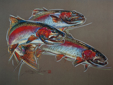 Rainbow Trout – Print of Pastel Drawing