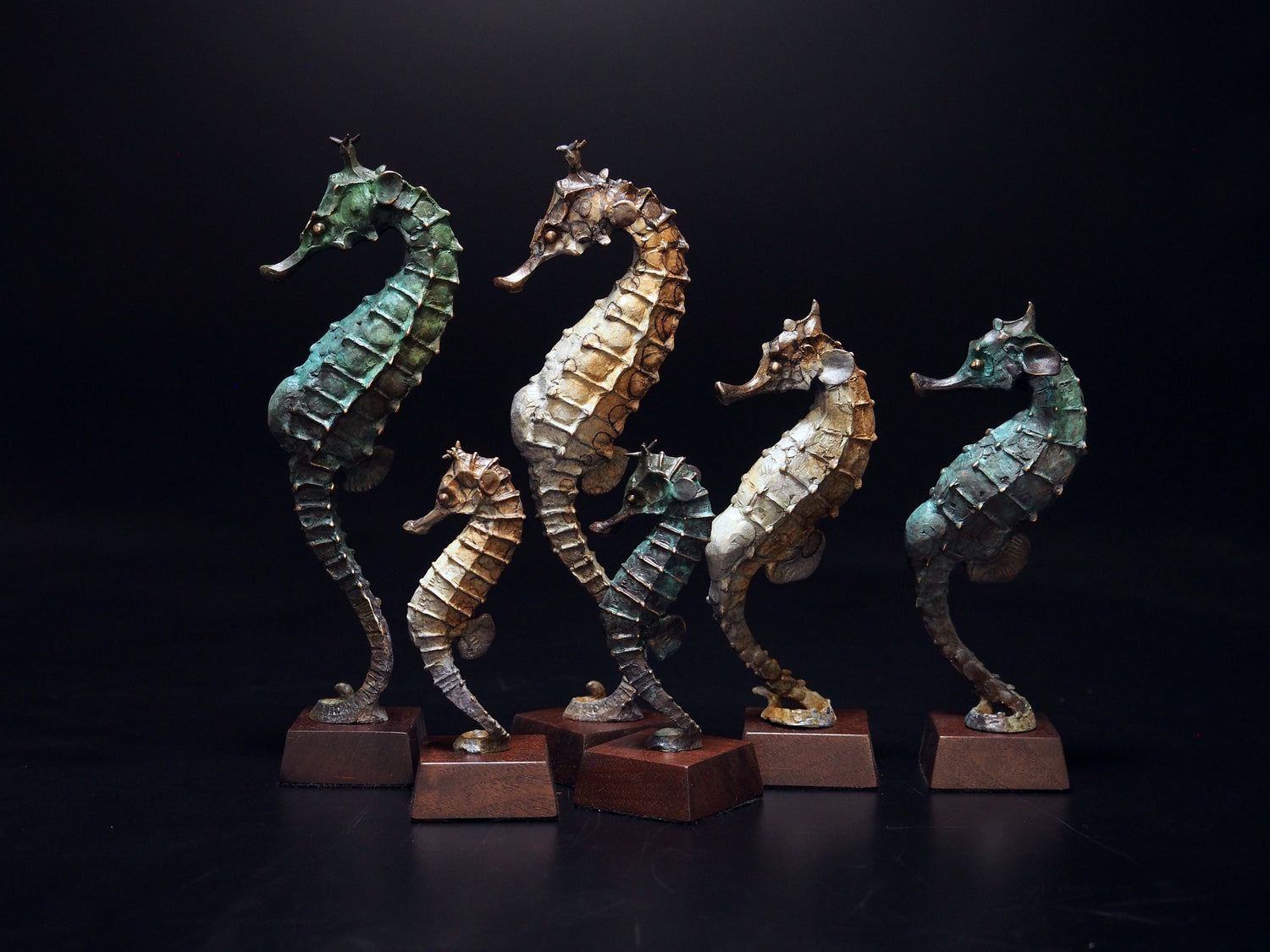 Seahorses