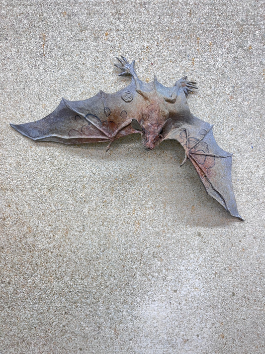 Bat A - Wall Mounted