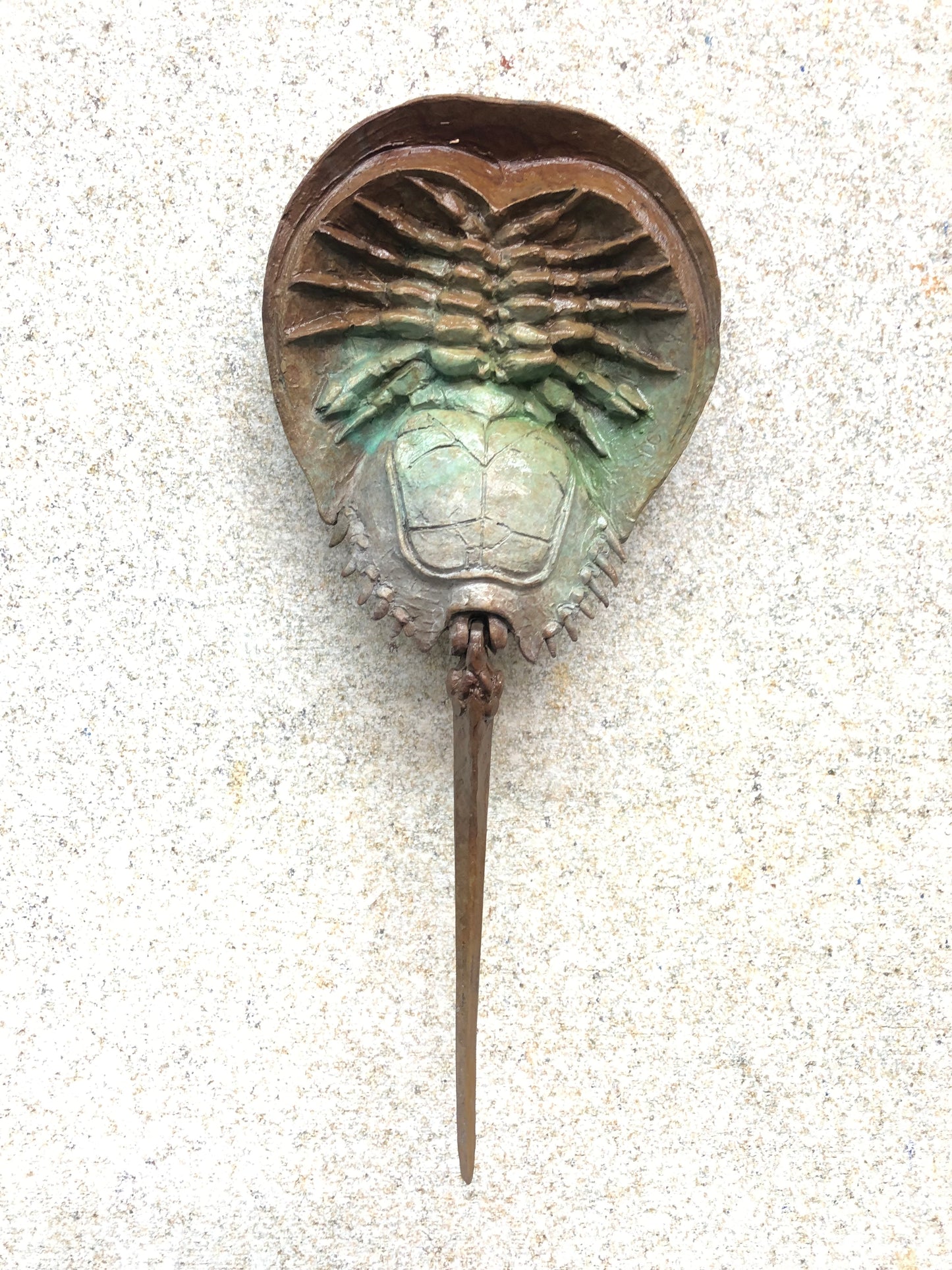 Horseshoe Crab