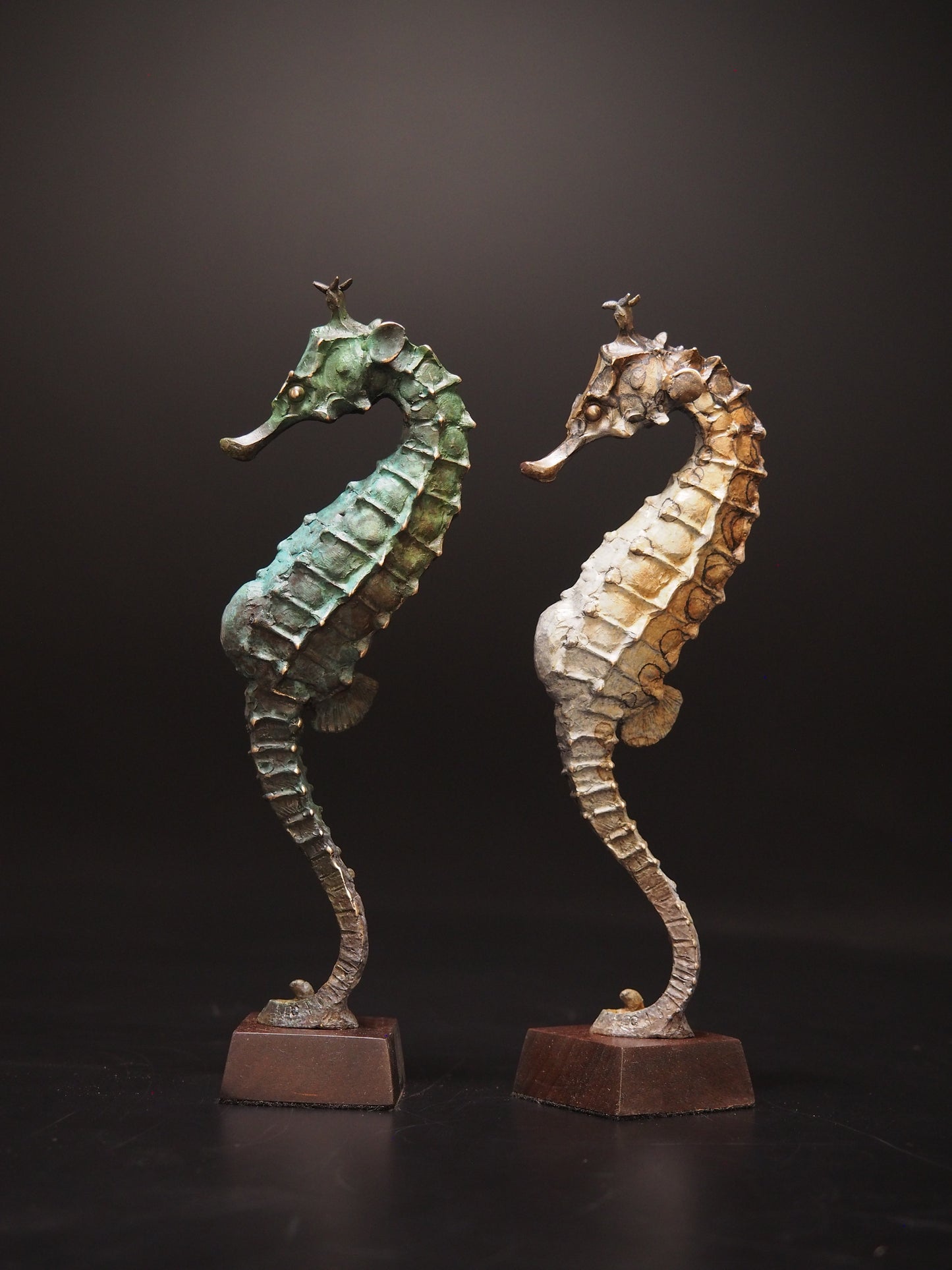 Seahorse A