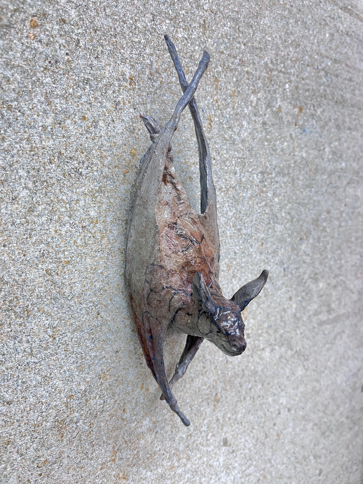Wall Bat D