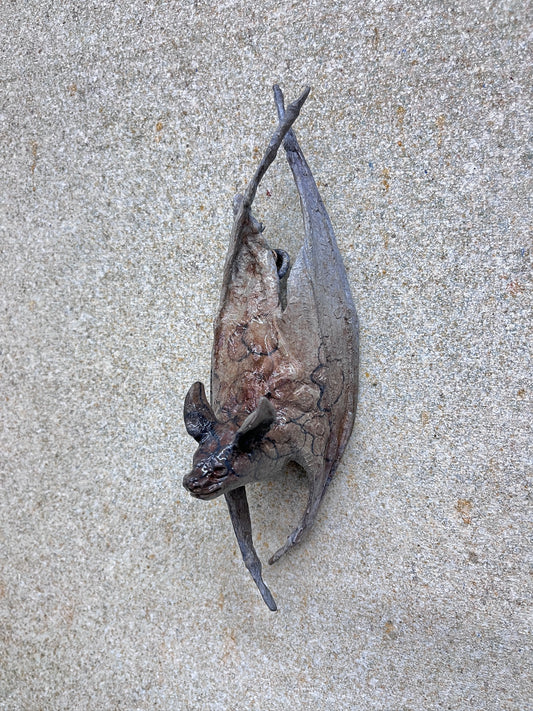 Wall Bat D