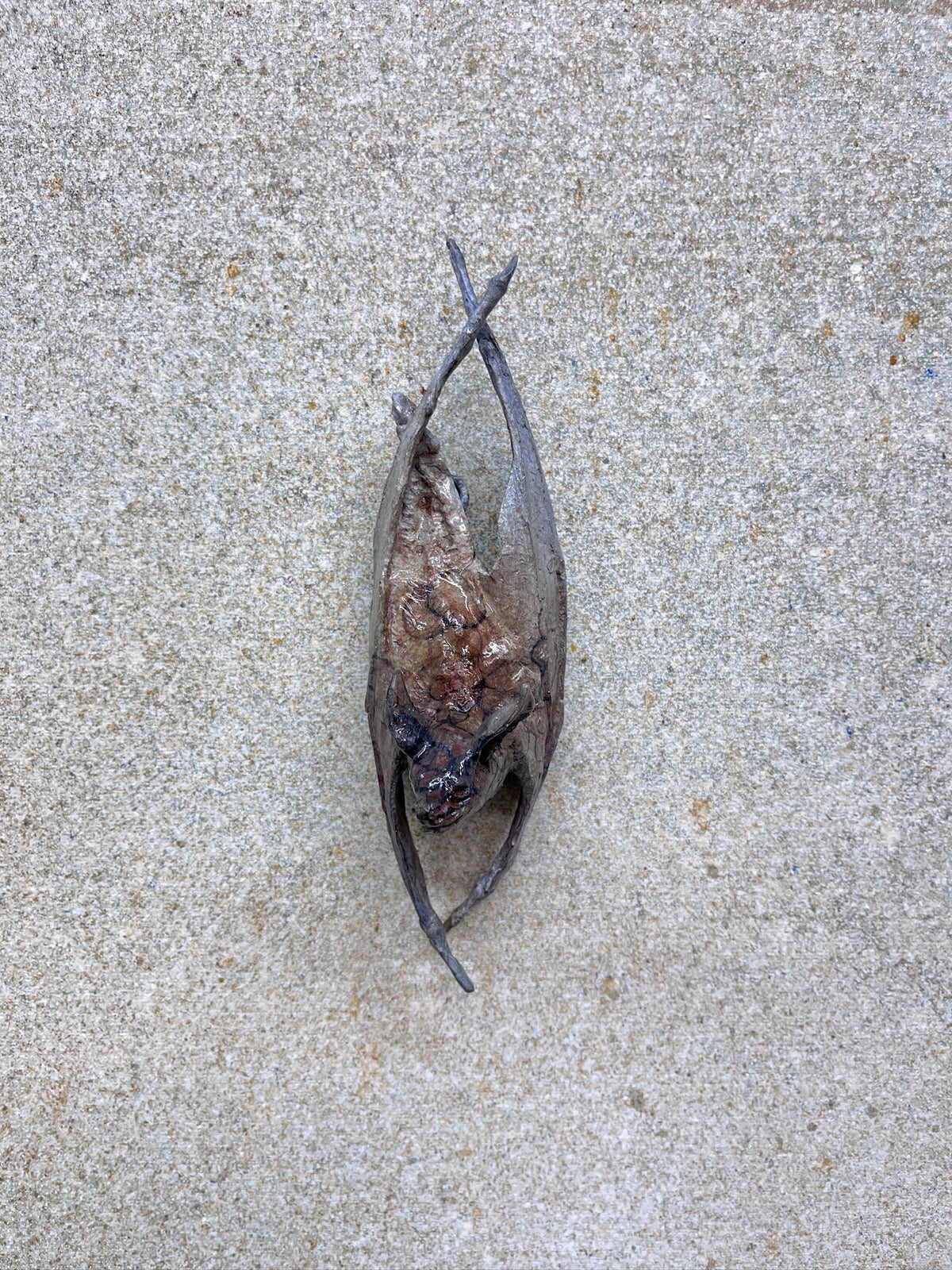 Wall Bat D