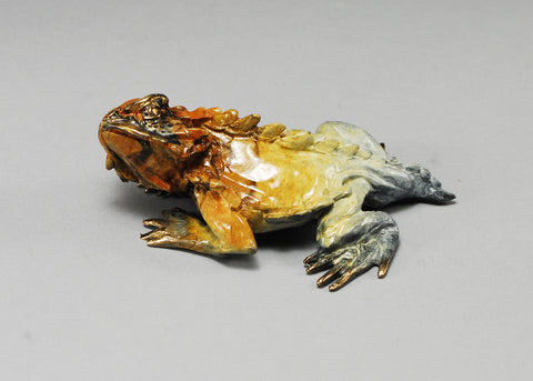Horned Toad Lizard B