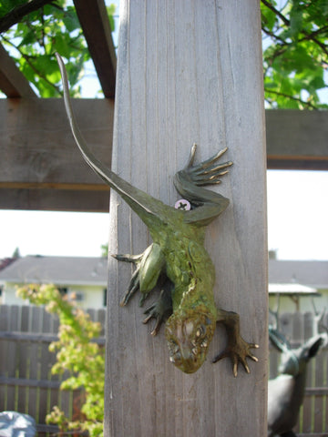 Iguana