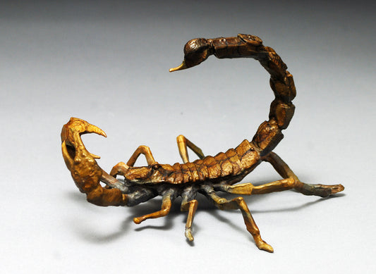 Scorpion