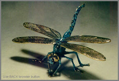 Dragonfly - Large