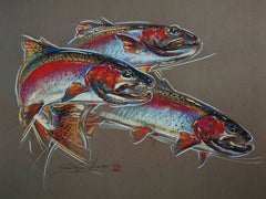 Rainbow Trout – Print of Pastel Drawing