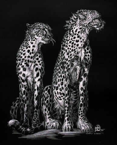 Cheetahs - Scratch Board Print