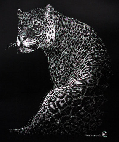 Jaguar -Scratch board-Print