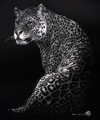 Tiger - Scratch Board Print  Dan Chen - Nature and Wildlife Artist