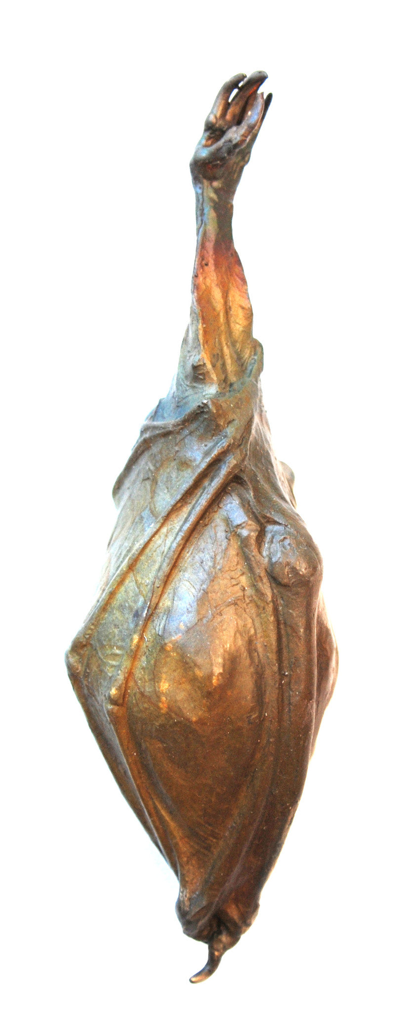 Bat Bell - Hanging – Dan Chen - Nature and Wildlife Artist